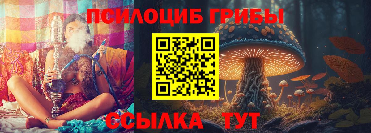 Галлюциногенные грибы Cubensis Лангепас